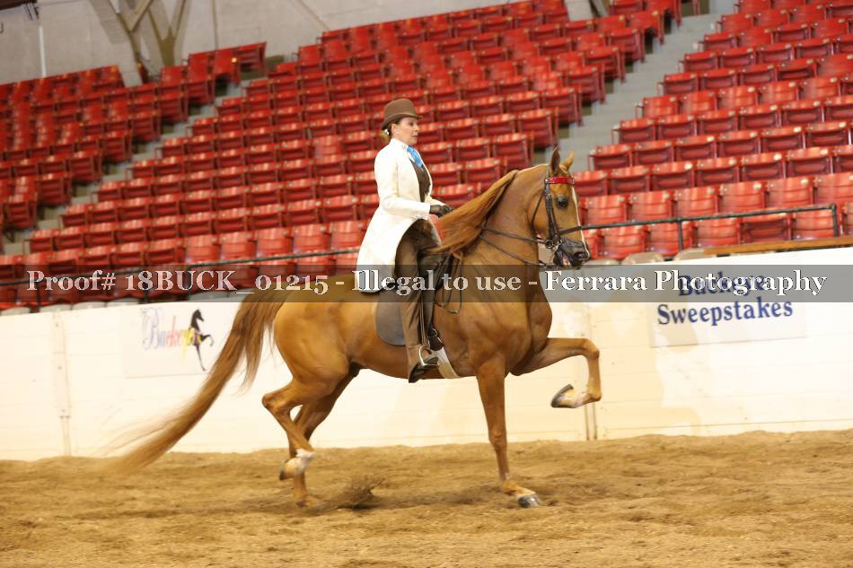 Proof 18BUCK_01215