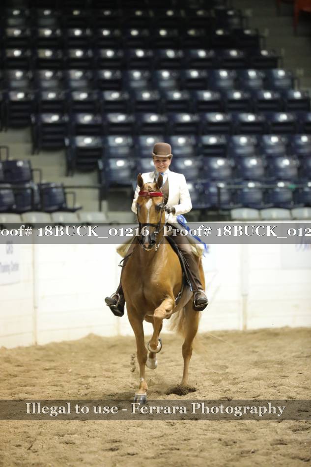 Proof 18BUCK_01216