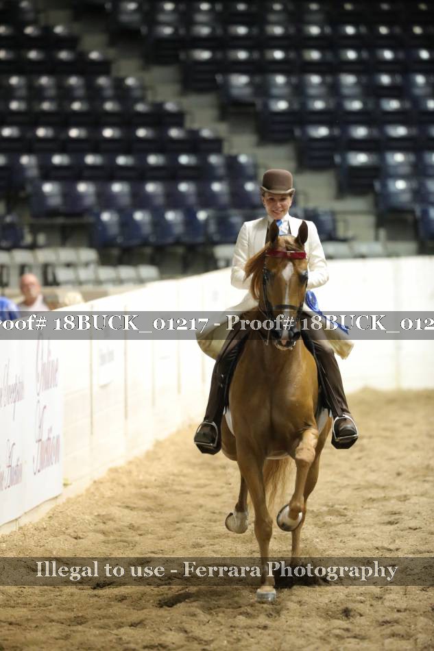 Proof 18BUCK_01217