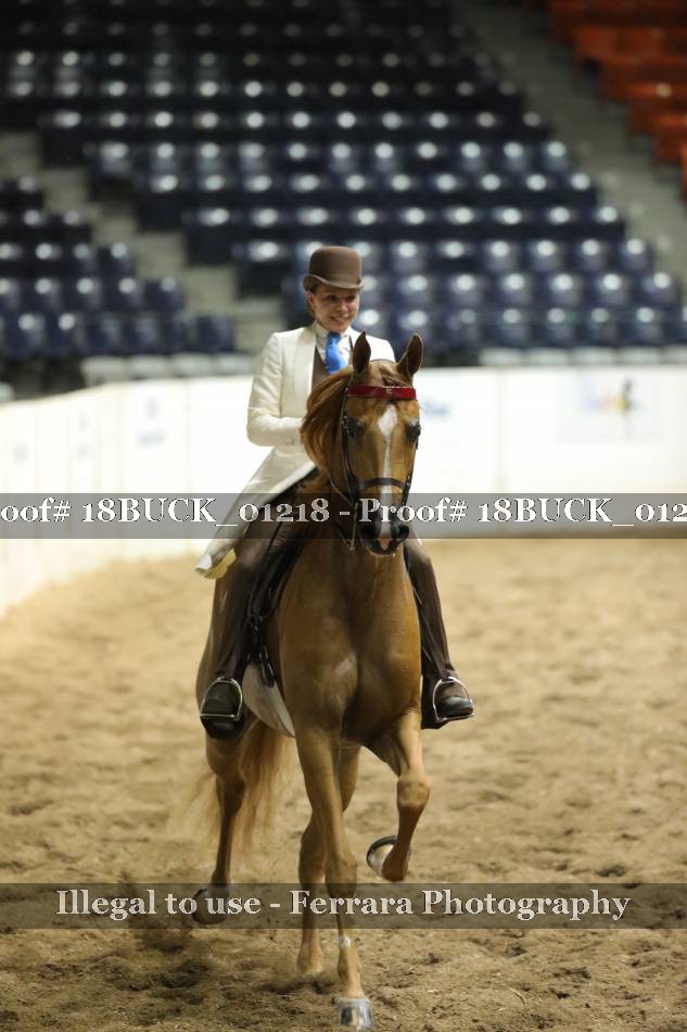 Proof 18BUCK_01218