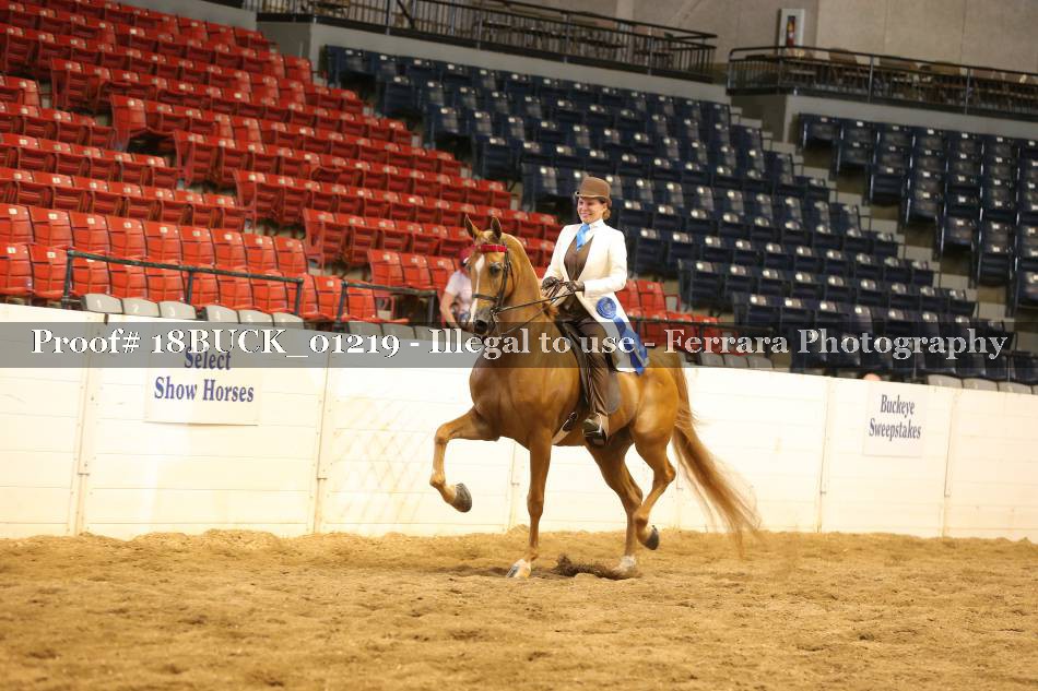 Proof 18BUCK_01219
