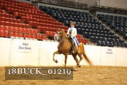 18BUCK_01219 proof
