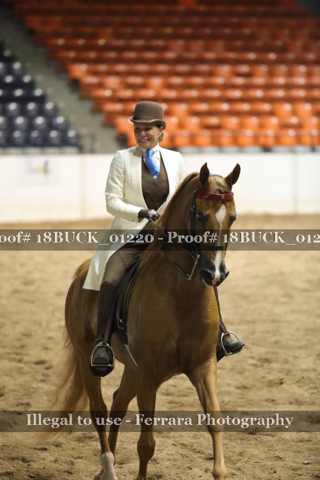 Proof 18BUCK_01220