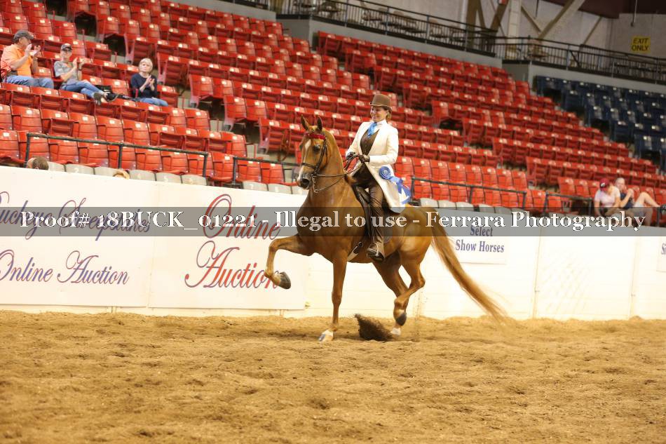 Proof 18BUCK_01221