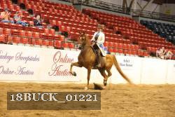 18BUCK_01221 proof