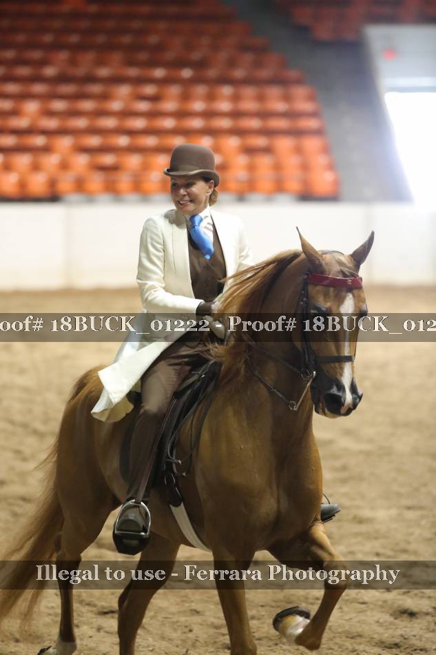 Proof 18BUCK_01222