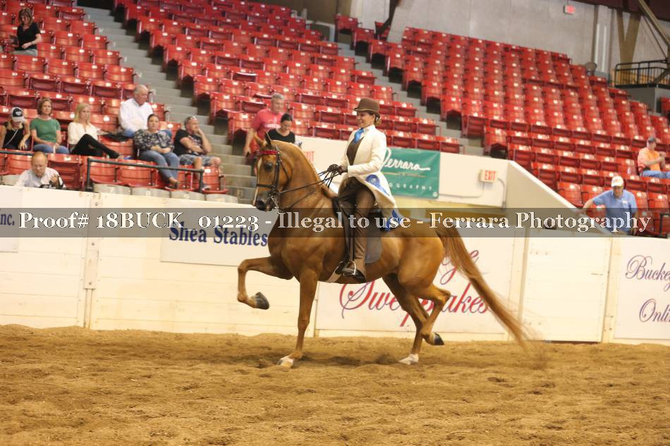 Proof 18BUCK_01223