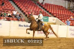 18BUCK_01223 proof