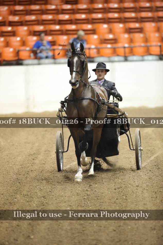 Proof 18BUCK_01226