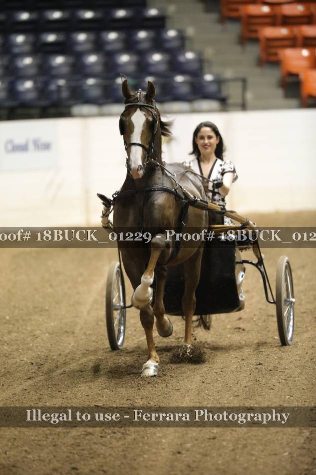 Proof 18BUCK_01229