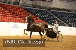 18BUCK_01230 proof