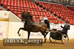 18BUCK_01231 proof