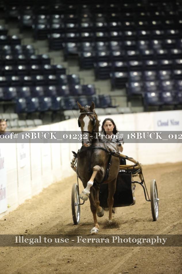 Proof 18BUCK_01232