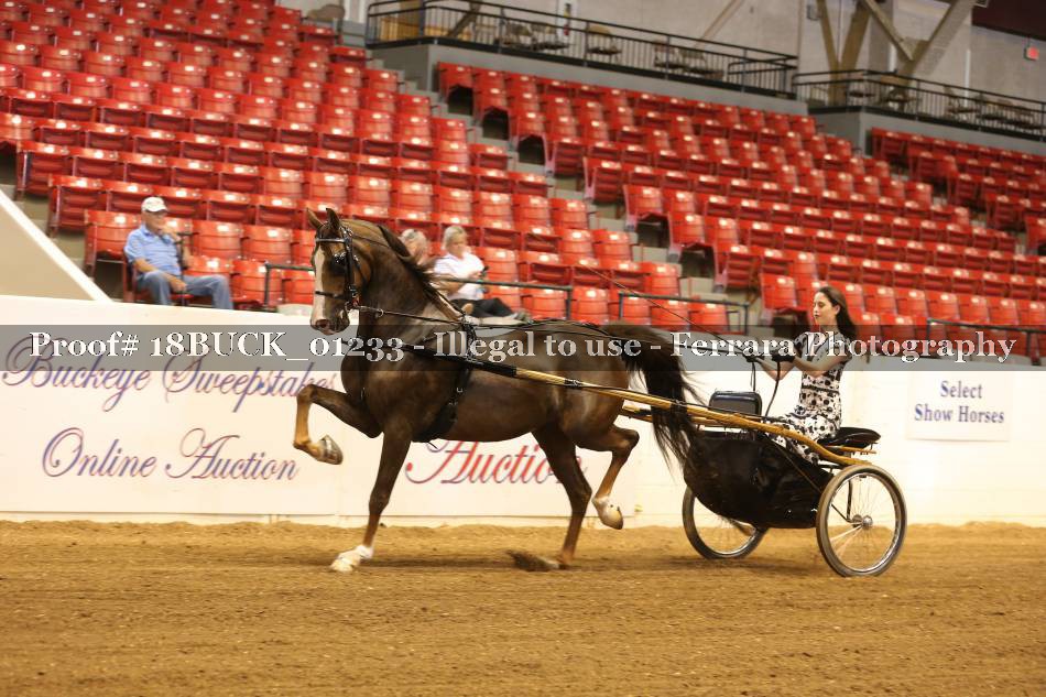 Proof 18BUCK_01233