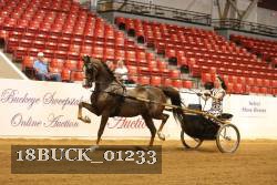 18BUCK_01233 proof