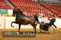 18BUCK_01234 proof