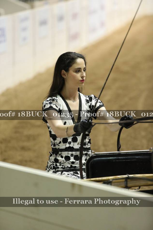 Proof 18BUCK_01235