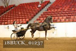 18BUCK_01237 proof
