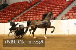 18BUCK_01238 proof