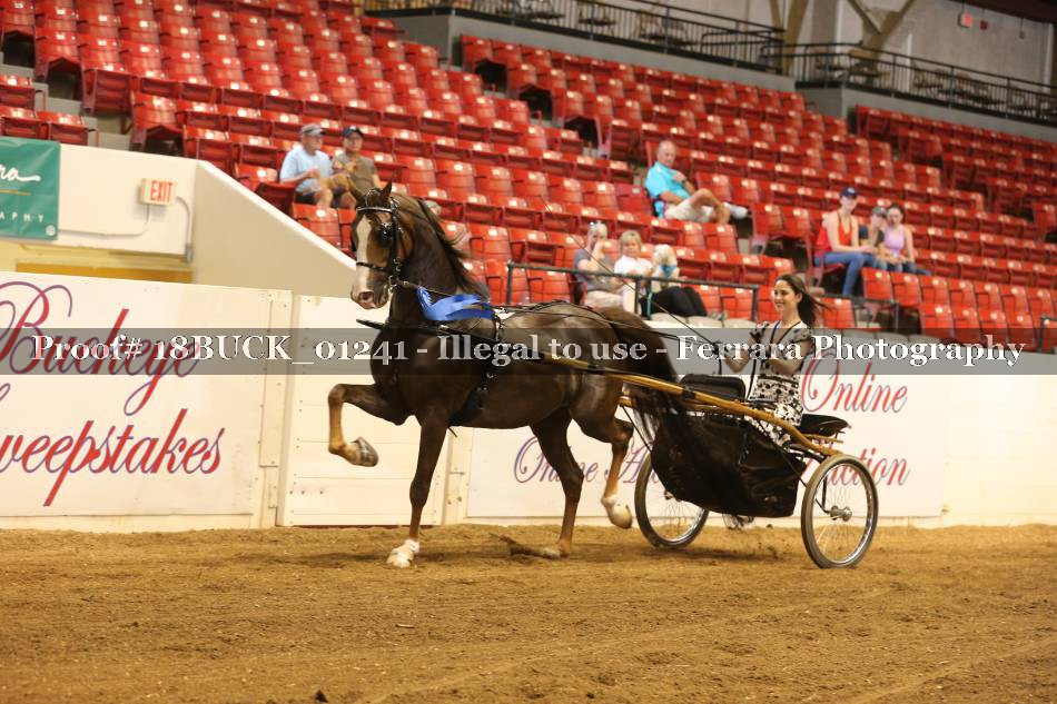 Proof 18BUCK_01241