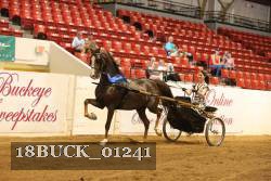 18BUCK_01241 proof