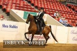 18BUCK_01244 proof