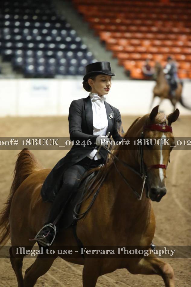 Proof 18BUCK_01246