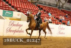 18BUCK_01247 proof