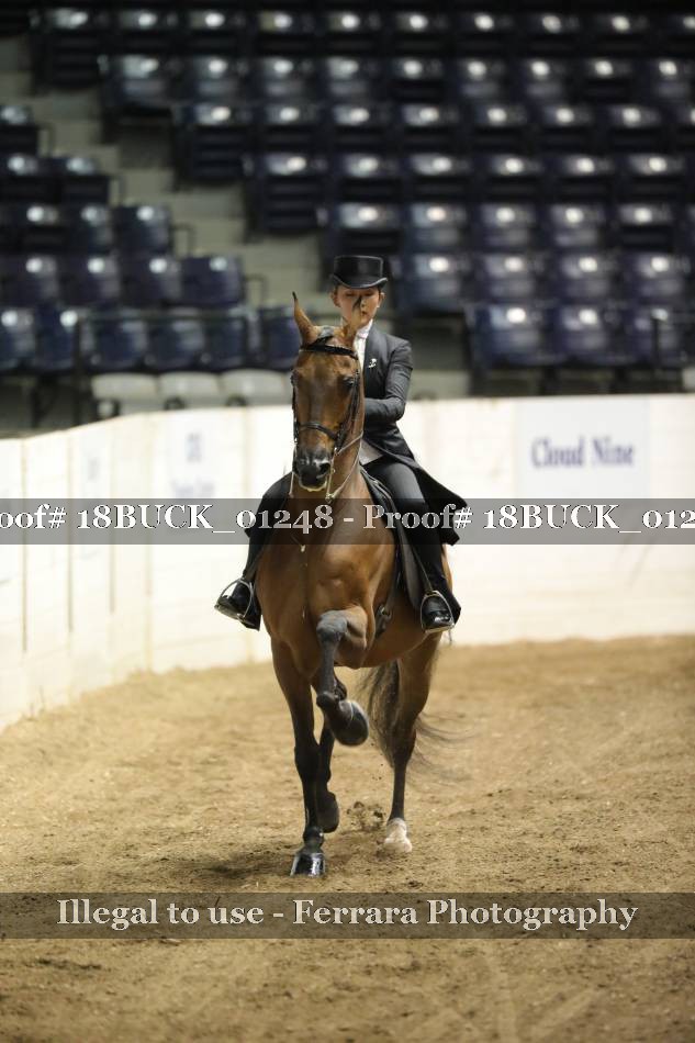 Proof 18BUCK_01248