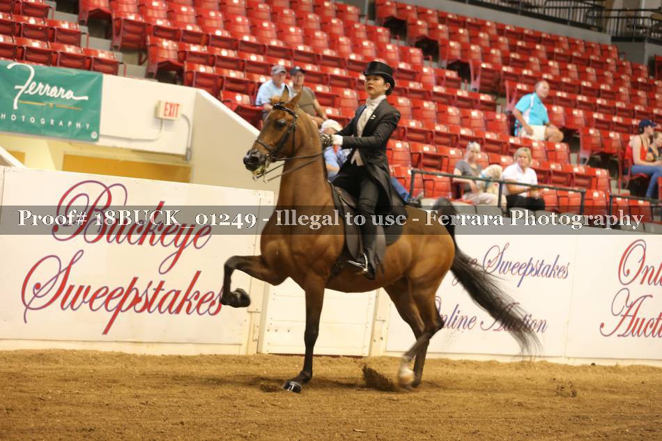 Proof 18BUCK_01249