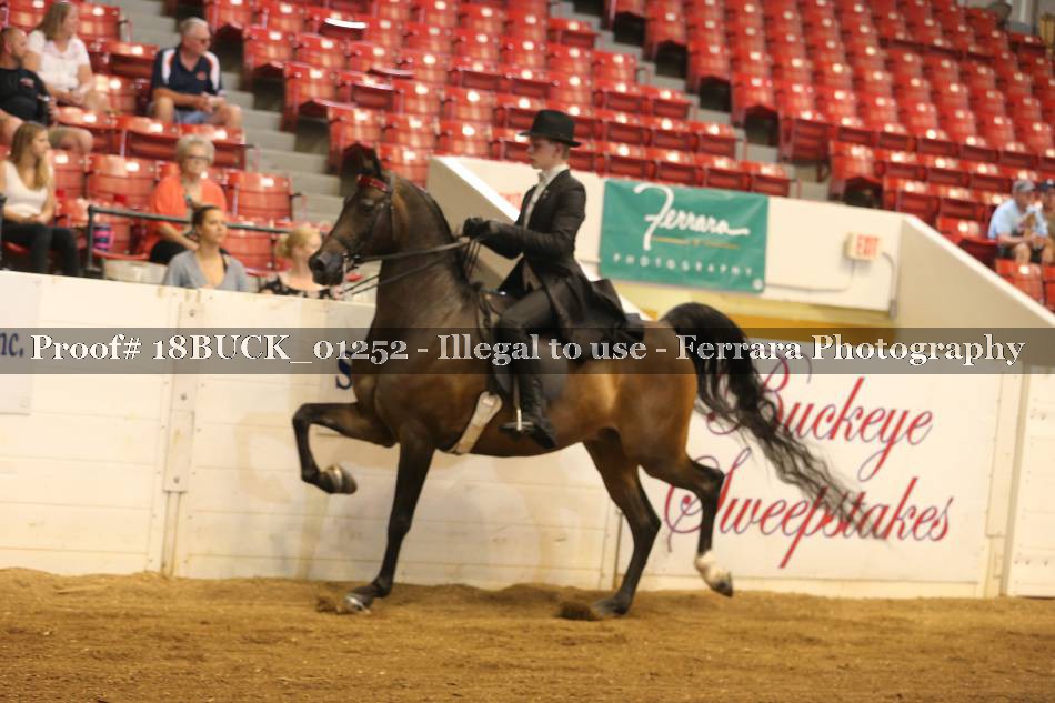 Proof 18BUCK_01252