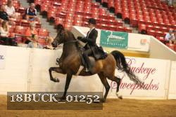 18BUCK_01252 proof
