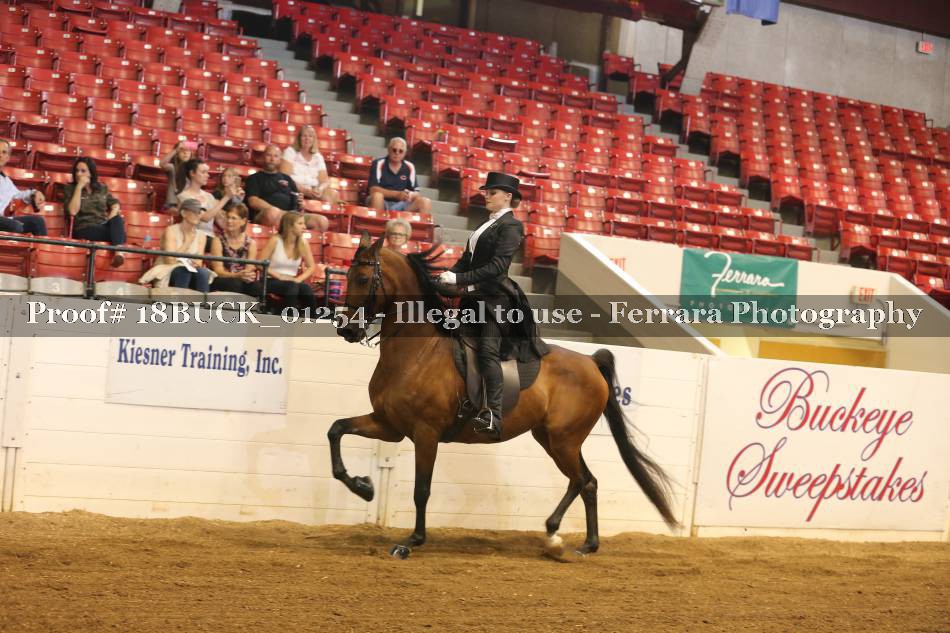 Proof 18BUCK_01254