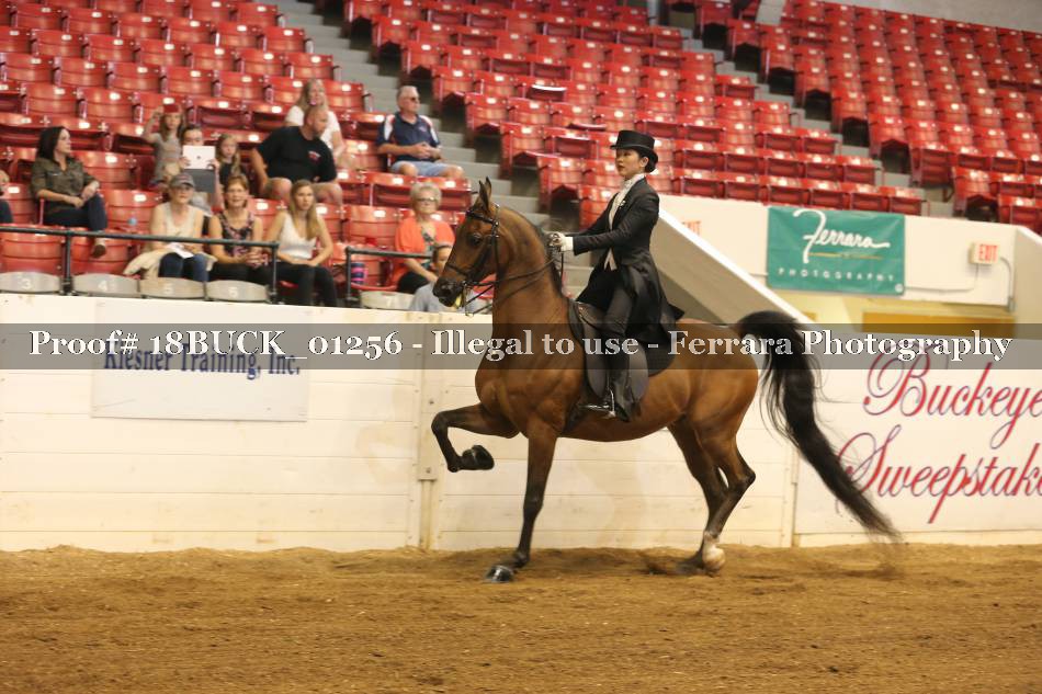 Proof 18BUCK_01256