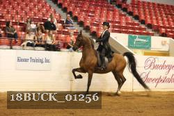 18BUCK_01256 proof