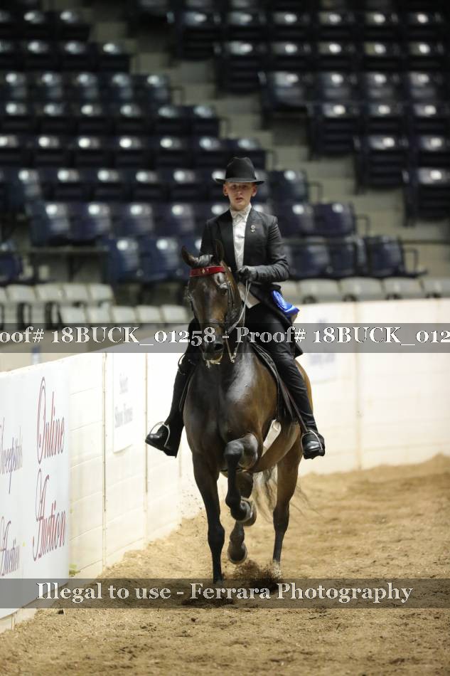Proof 18BUCK_01258