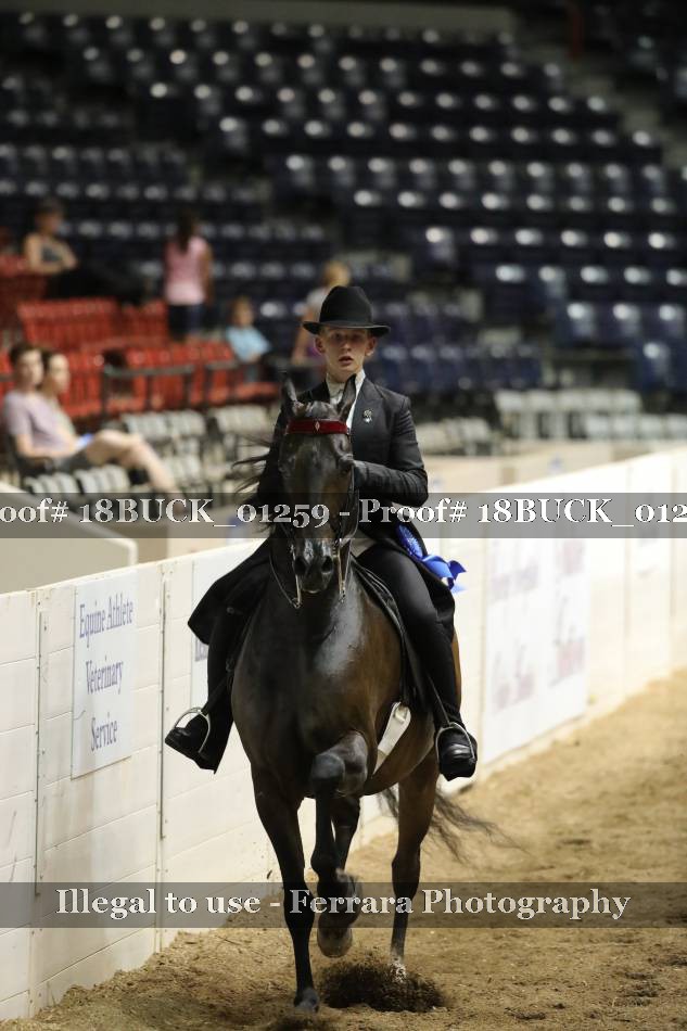 Proof 18BUCK_01259