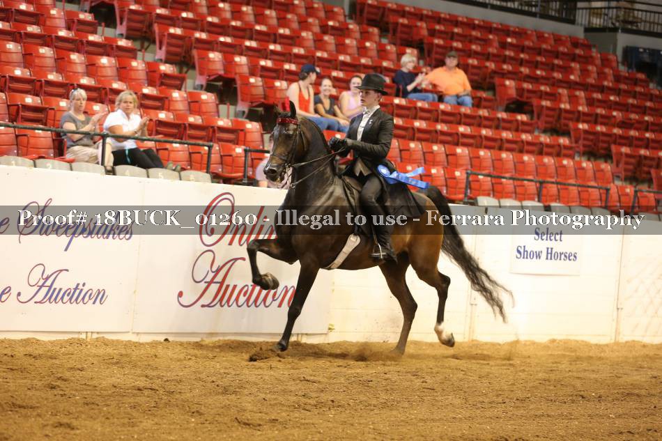 Proof 18BUCK_01260