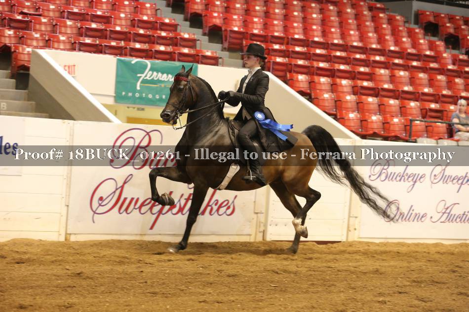 Proof 18BUCK_01261