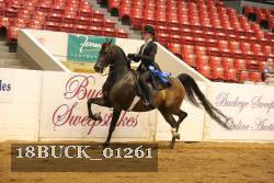18BUCK_01261 proof