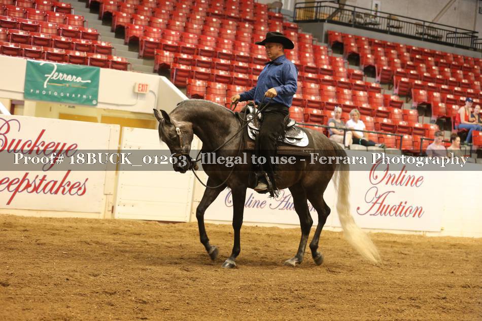 Proof 18BUCK_01263