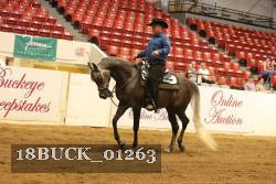 18BUCK_01263 proof