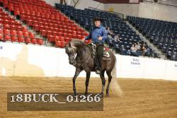 18BUCK_01266 proof