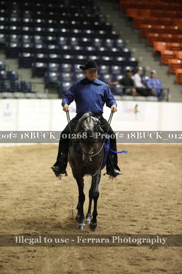 Proof 18BUCK_01268