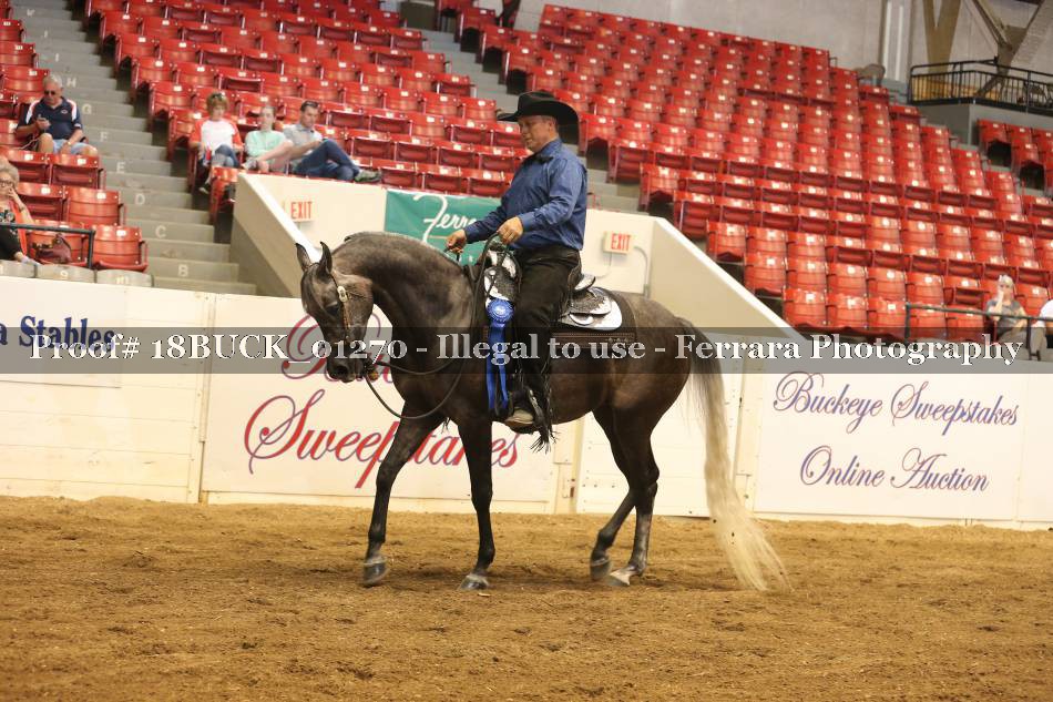 Proof 18BUCK_01270