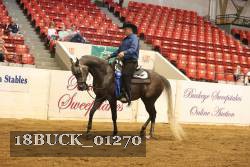 18BUCK_01270 proof