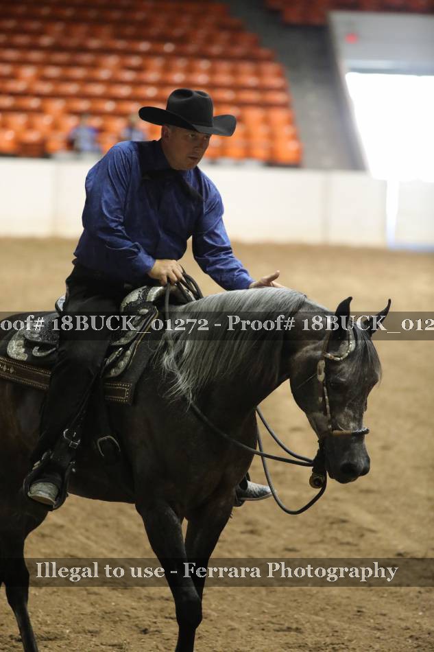 Proof 18BUCK_01272