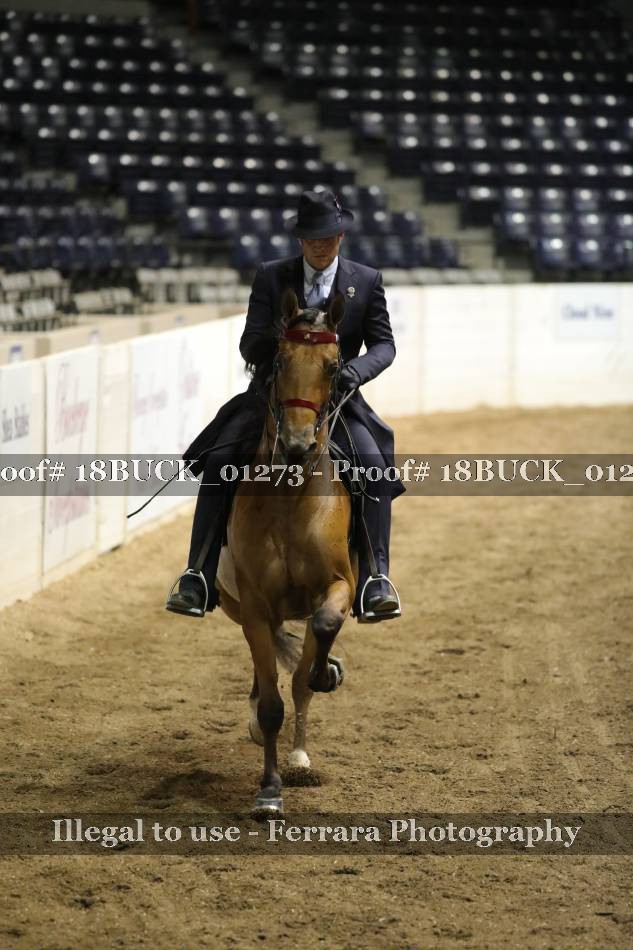 Proof 18BUCK_01273
