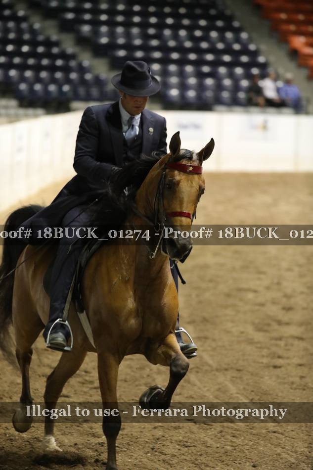 Proof 18BUCK_01274