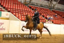 18BUCK_01275 proof